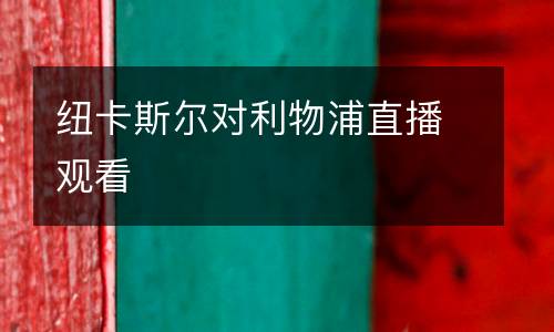 紐卡斯?fàn)枌锲种辈ビ^看